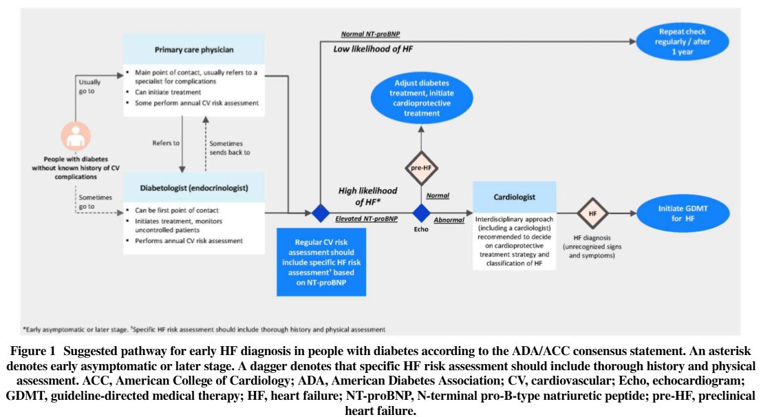 JournalGIM's tweet photo. Guidelines recommend NT-proBNP screening to catch heart failure early in diabetes but why is real-world adoption lagging?   Experts from 10 countries share practical roadmaps for bridging the gap from guideline to clinical practice.

Free Full Text👉️ https://t.co/FhwsrErfKL https://t.co/j9ueBwBWtv