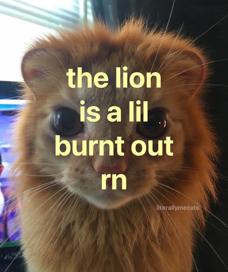 literallymecats's tweet photo. https://t.co/M81nbxbnlg