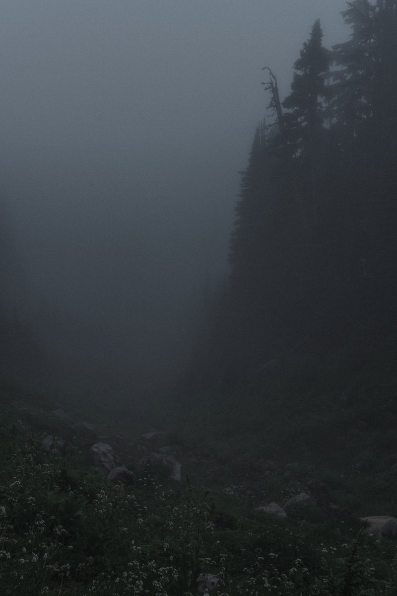 blodgrevinnen's tweet photo. where the only sound is the wind through the trees https://t.co/YiH6BJOzpT