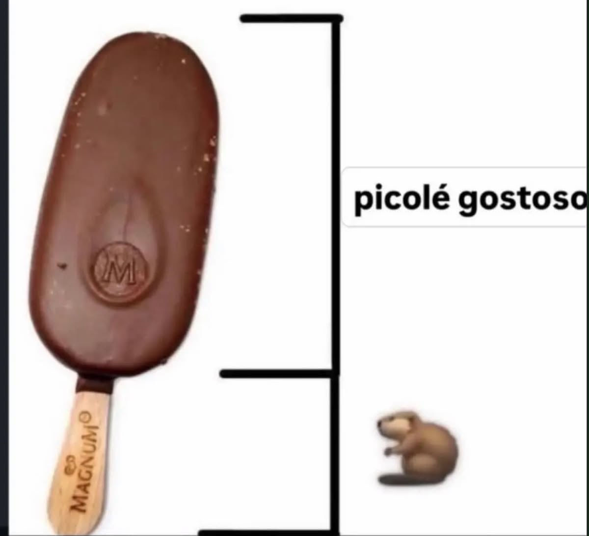 shitpostverdade's tweet photo. https://t.co/1xCzmFJ4wc