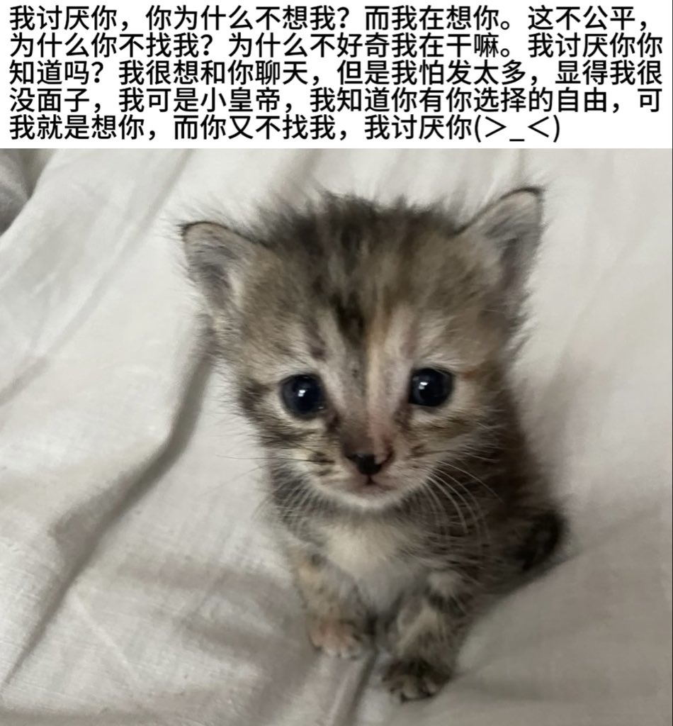 x949ry's tweet photo. 你的世界能不能只有我 https://t.co/MmyqwT87QN