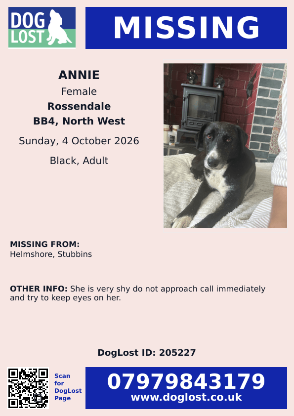 millypod1's tweet photo. 🆘4 OCT 2026 #Lost Annie #ScanMe
Cross Breed Female
#Helmshore #Stubbins #BB4
County #Rossendale #Lancashire
https://t.co/GolJo7Pi5O https://t.co/lHhfIhi574