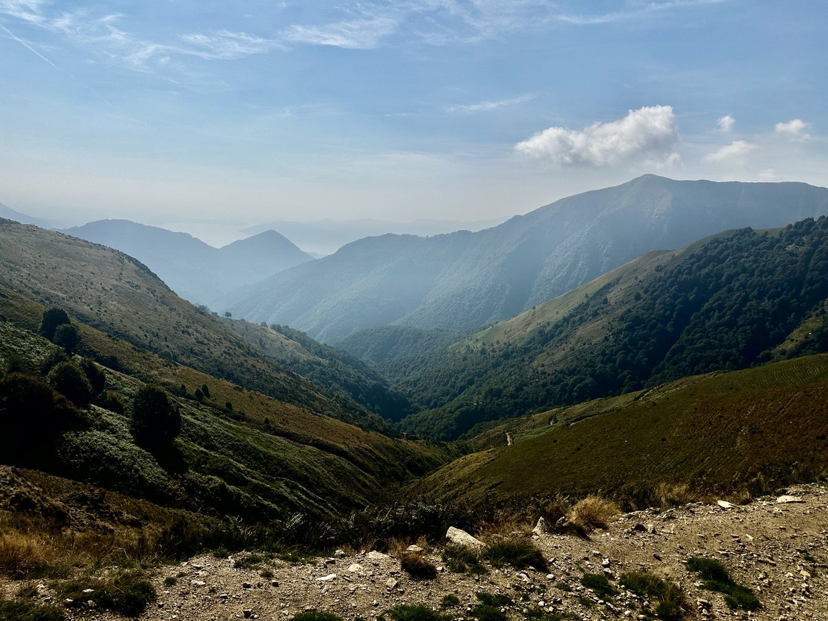 Annabaesle's tweet photo. #MonteZeda #Piemont #LagoMaggiore #Wandern

Auf, auf!
2156m.
Traumtag!

Ein 🧵! https://t.co/rGchmjnp6t
