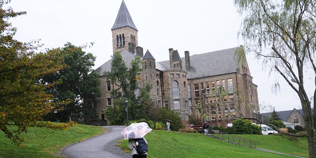 ktivnews's tweet photo. Cornell building sprayed with graffiti blasting school’s response to gang rape accusation https://t.co/5htGToxbeT