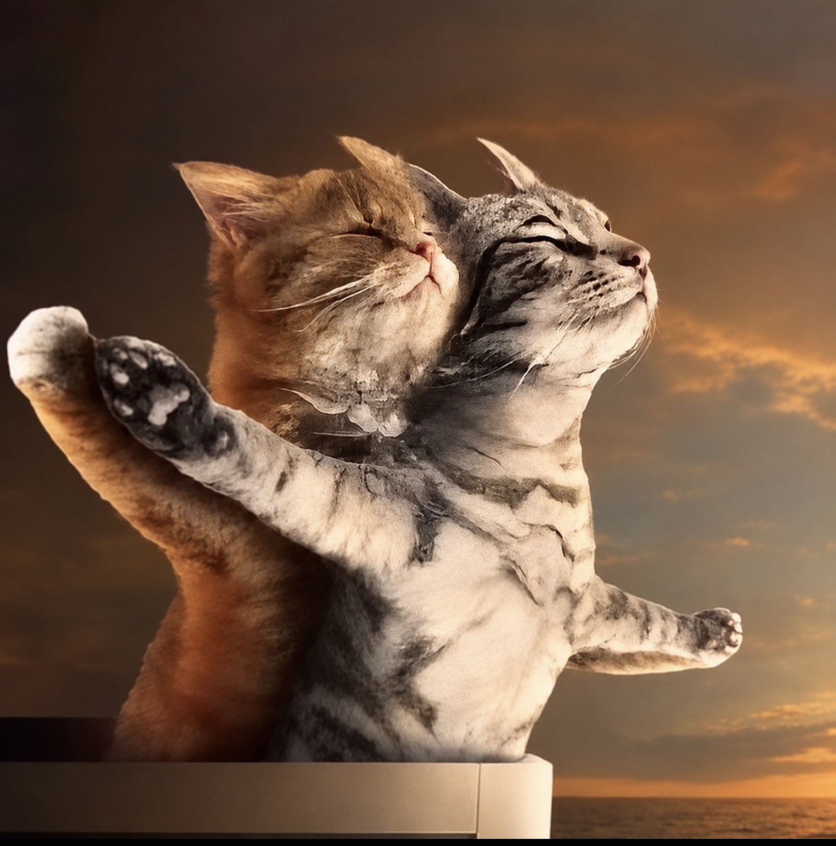 loluj5's tweet photo. علاقتي أنا والتسويف https://t.co/DmEbb2qP2A