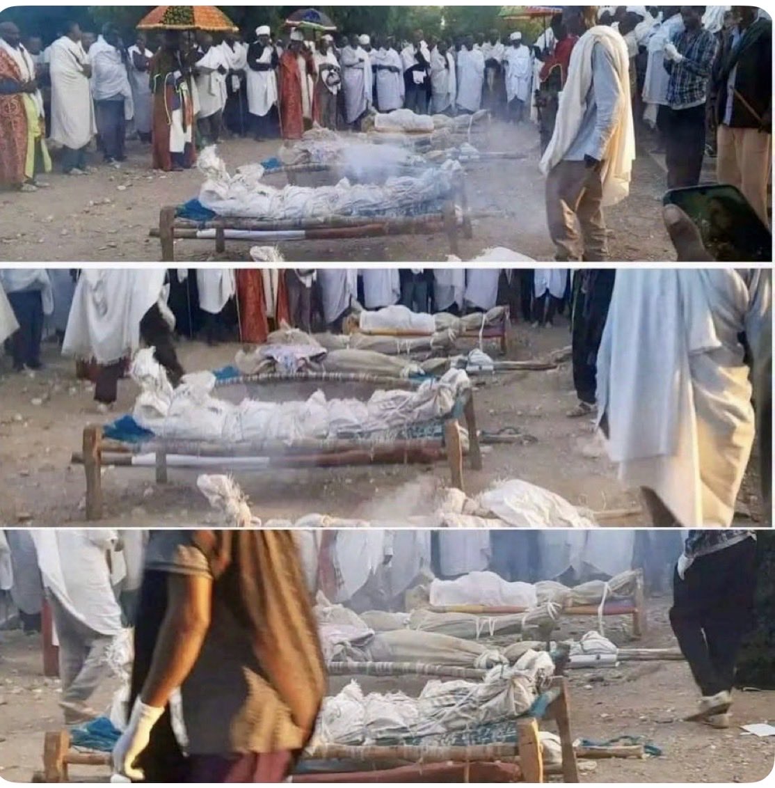 HaileArena2's tweet photo. The genocidal Ethiopian regime enabled by the silence of the international community massacres IDP’s in Sheraro, #Tigray. @EU_Commission @DemSenators @GOPSenate @GOPHouseOfRep @HouseDemocrats @SecRubio @SenateForeign @HouseForeign @hrw @amnesty @IrishMissionUN @UNHumanRights https://t.co/yRgA7MkEt1