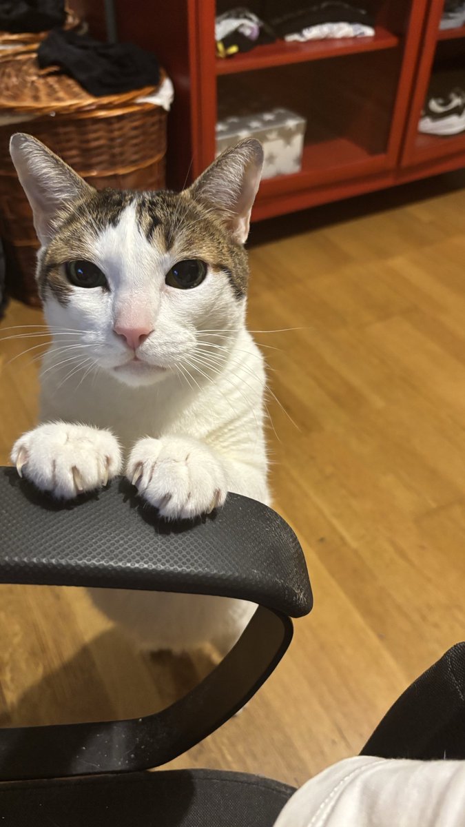 91HUTAO's tweet photo. me acaba de decir que mañana tiene que llevar una cartulina al cole https://t.co/sBAMylJ777