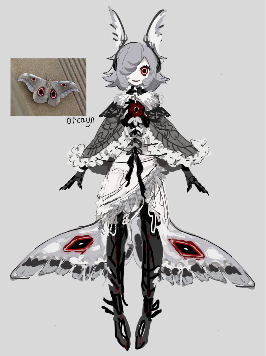 orcaynn's tweet photo. moth concept https://t.co/Y8XeYwIeUy