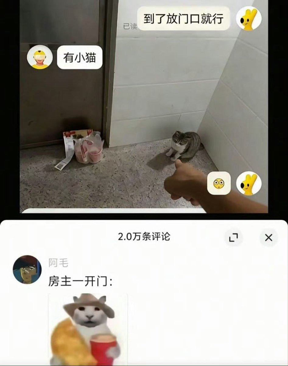 Aiyutoushushu's tweet photo. https://t.co/LdVCUbKOJ2