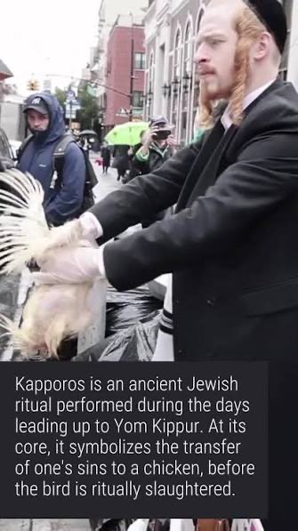 gagefournier28's tweet photo. @BlaireWhite New York allows Jews to beat chicken to death to this day https://t.co/sXnexNEHcj
