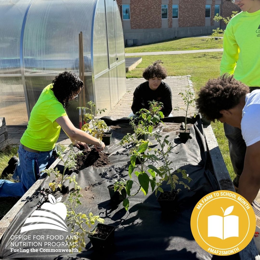 MASchoolsK12's tweet photo. October is #FarmToSchoolMonth! Follow along with nonprofits Massachusetts Farm to School and @aginclassroom for farm-to-school-themed activities. Schools, farmers & community partners encouraged to share farm-to-school stories using #F2SMonth #MAF2SMonth https://t.co/4ytN5m0oHl https://t.co/Fya0648bTO