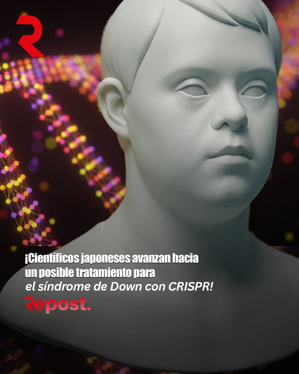 repost_ec's tweet photo. #Repost ¡Científicos japoneses avanzan hacia un posible tratamiento para el síndrome de Down con CRISPR!

Un equipo de investigadores en Japón logró eliminar experimentalmente la copia extra del cromosoma 21 en células con síndrome de Down utilizando varias herramientas de edición genética CRISPR. El hallazgo abre una posible vía para desarrollar tratamientos que modifiquen las alteraciones celulares asociadas a la trisomía 21 sin embargo, todavía se trata de una investigación experimental y no de un tratamiento disponible para personas. Se necesitan más estudios para determinar si la técnica es segura, eficaz y viable en organismos vivos.

#SíndromeDeDown #CRISPR #Ciencia #Investigación