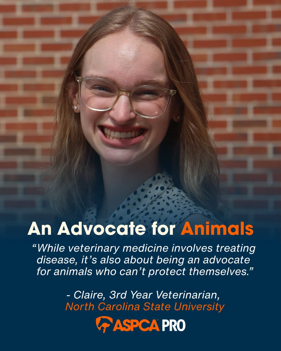 ASPCAPro's tweet photo. 🐾 From shelter medicine and community-centered care to high-quality, high-volume spay/neuter, the 2026 @ASPCA Scholars are exploring the many ways they can make a difference in veterinary medicine. 🎓 Join us in celebrating their progress! #VetMed https://t.co/Bc7ev7HQnn https://t.co/xBoAsXUKO1