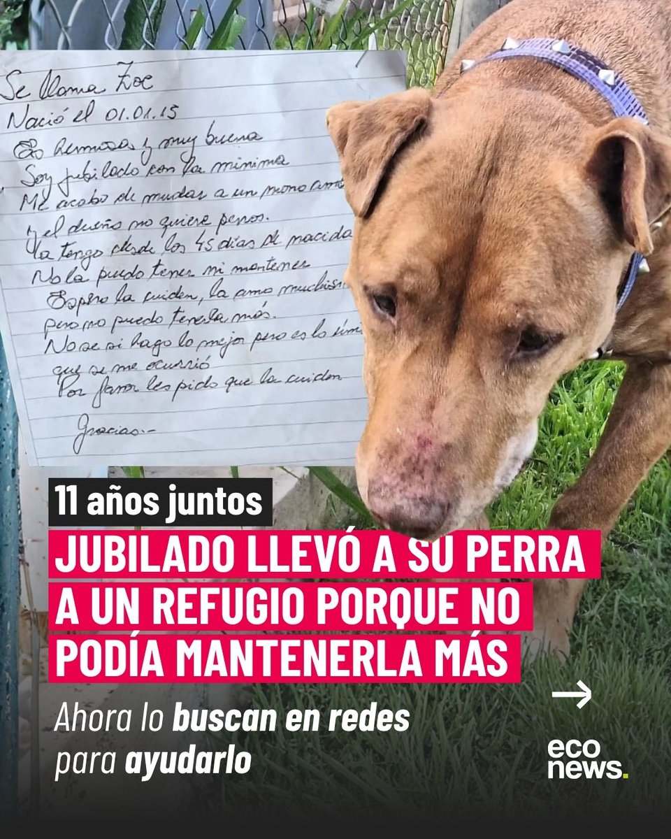 econewsES's tweet photo. 💔 “Me mudé a un monoambiente y el dueño no quiere perros. Espero que la cuiden, la amo muchísimo”.

🐶 Zoe, una perrita de más de 10 años, fue dejada en @refugioelcampito por su compañero, un jubilado que no podía afrontar sus gastos. La carta que dejó se viralizó y conmovió a las redes.

🏠 El refugio busca al hombre para ofrecerle ayuda y lograr que puedan volver a vivir juntos. Ya aparecieron propuestas para cubrir la alimentación de Zoe e incluso conseguirles un lugar donde vivir.
