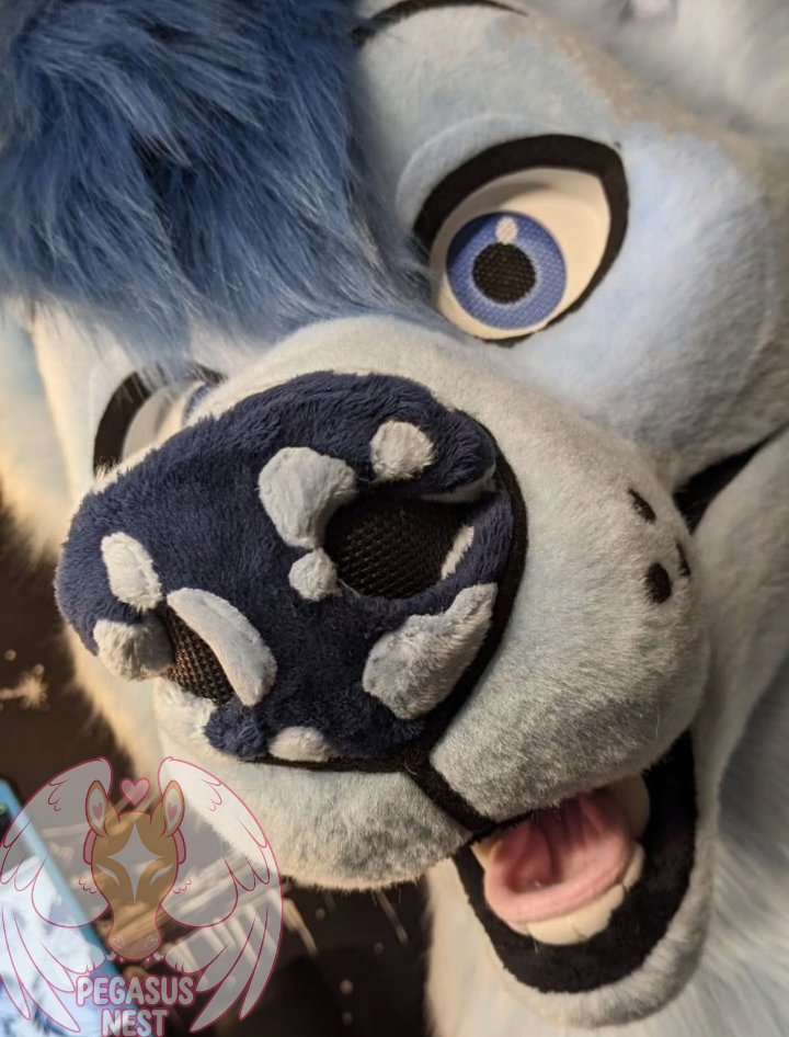pegasusnest's tweet photo. 🤍
#fursuit #fursuits #fursuiting #fursonalities #fursuitbuilding https://t.co/ei0f4rnR0k