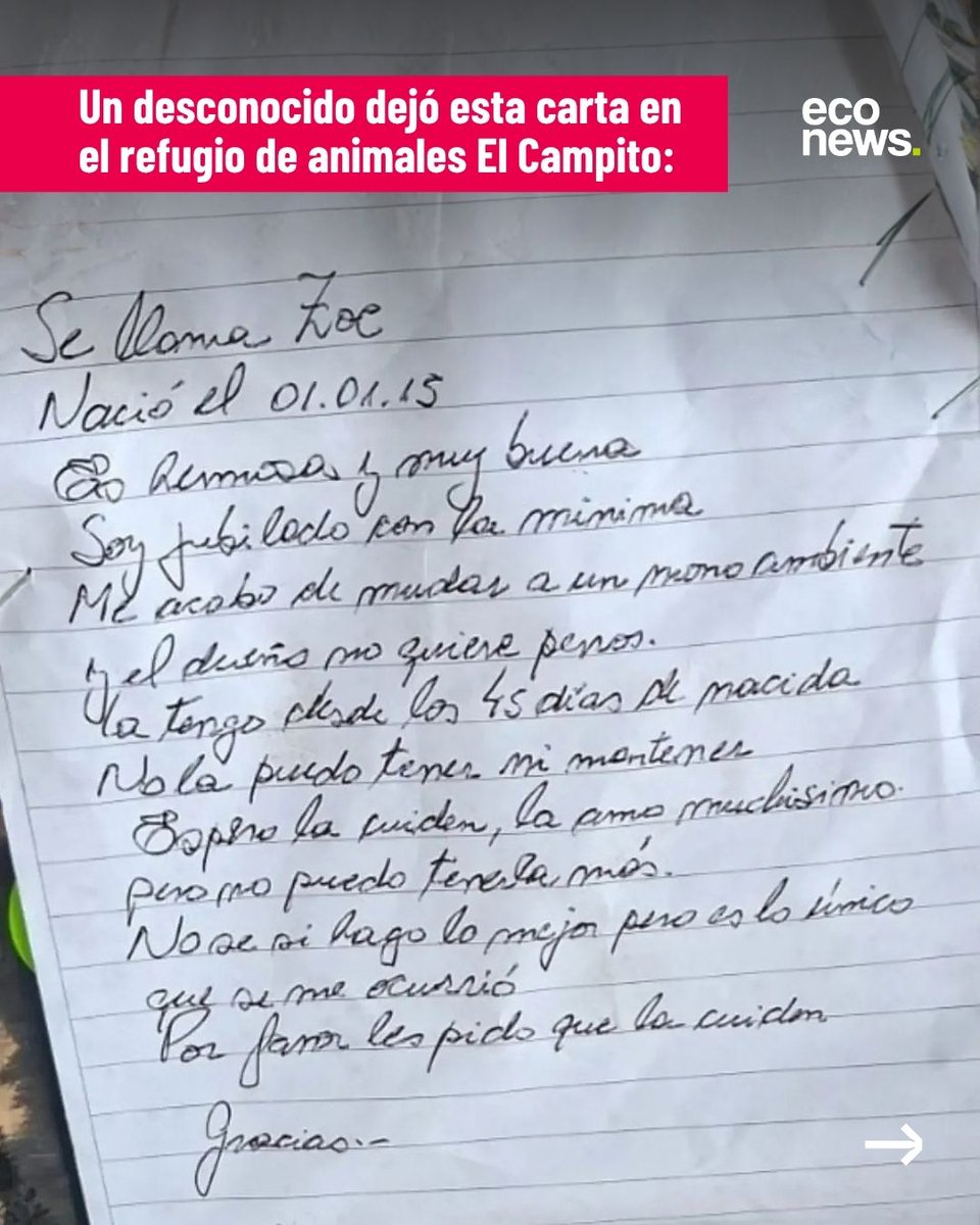 econewsES's tweet photo. 💔 “Me mudé a un monoambiente y el dueño no quiere perros. Espero que la cuiden, la amo muchísimo”.

🐶 Zoe, una perrita de más de 10 años, fue dejada en @refugioelcampito por su compañero, un jubilado que no podía afrontar sus gastos. La carta que dejó se viralizó y conmovió a las redes.

🏠 El refugio busca al hombre para ofrecerle ayuda y lograr que puedan volver a vivir juntos. Ya aparecieron propuestas para cubrir la alimentación de Zoe e incluso conseguirles un lugar donde vivir.
