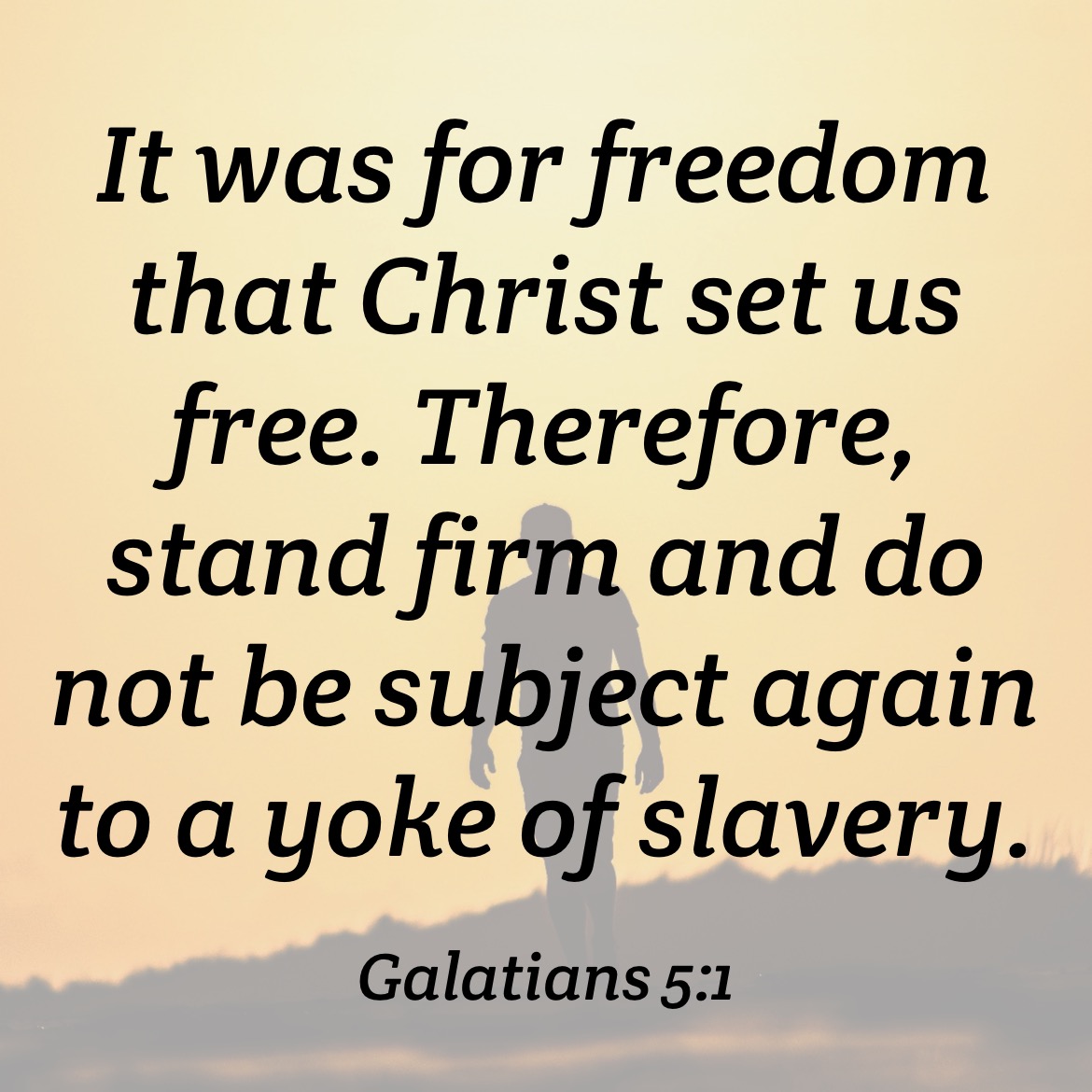 cleansocks's tweet photo. For freedom ⛓️‍💥 #Bible #Galatians https://t.co/n1w7OC6bwT