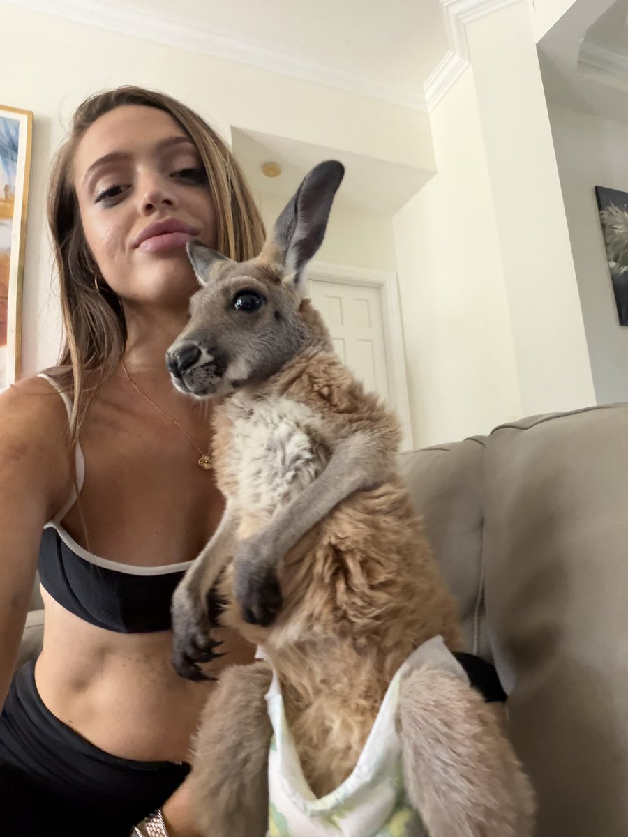 woahhvickyyy's tweet photo. 🦘 https://t.co/1vEnrPe7T3