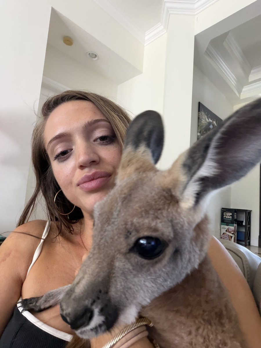 woahhvickyyy's tweet photo. 🦘 https://t.co/1vEnrPe7T3