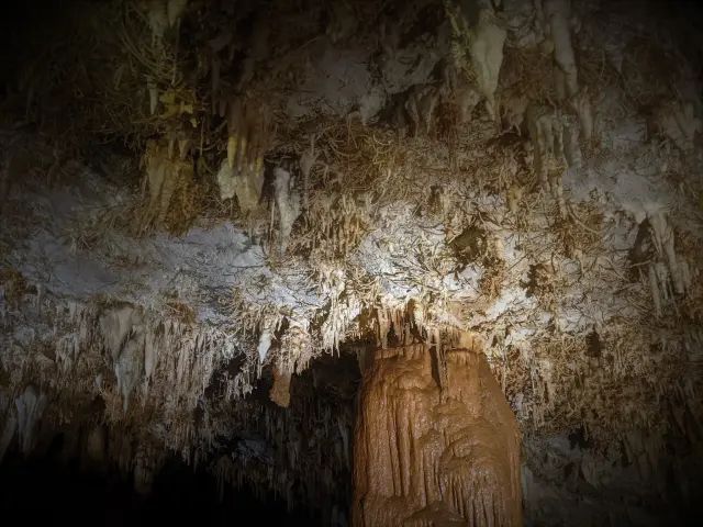 CEFAPIT's tweet photo. Una de las cuevas más impactantes del mundo está en España: tiene estalactitas que parecen corales https://t.co/Lq02WsFMgO https://t.co/j5idba3Ic5