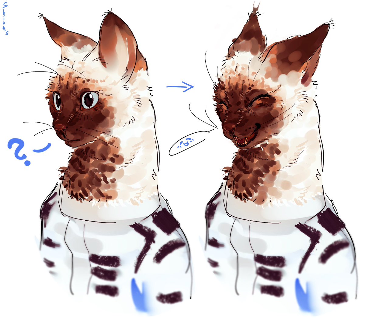 ElNiiia's tweet photo. More kitty kitty https://t.co/B9t54lUg9E