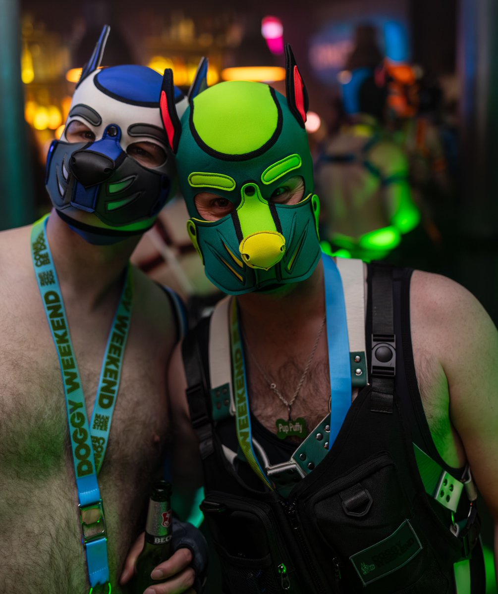 ClubAlert's tweet photo. WOW, these tickets are already flying! I think you're all ready for our doggy weekend...

Less than 2 weeks now, the timer begins! https://t.co/bmiuFjdaBt