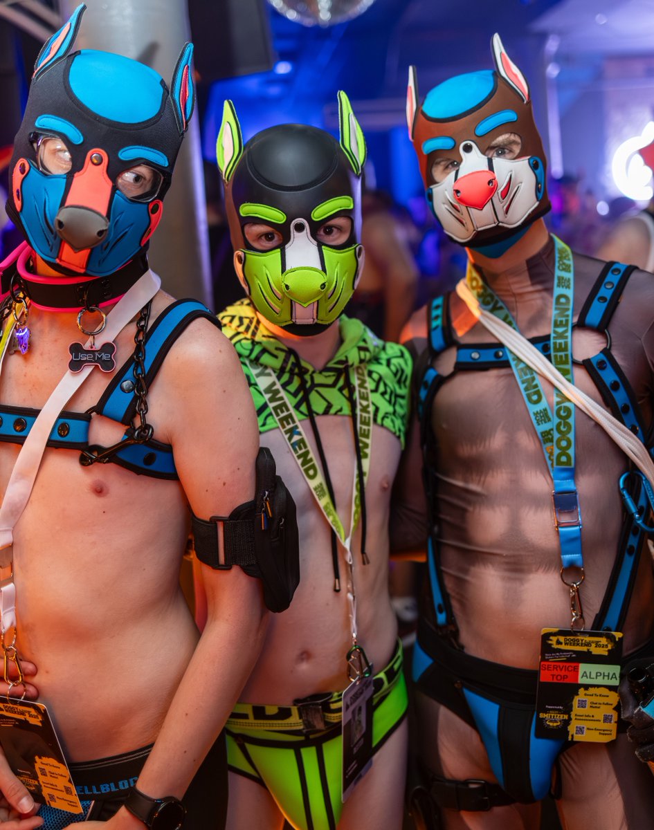 ClubAlert's tweet photo. WOW, these tickets are already flying! I think you're all ready for our doggy weekend...

Less than 2 weeks now, the timer begins! https://t.co/bmiuFjdaBt