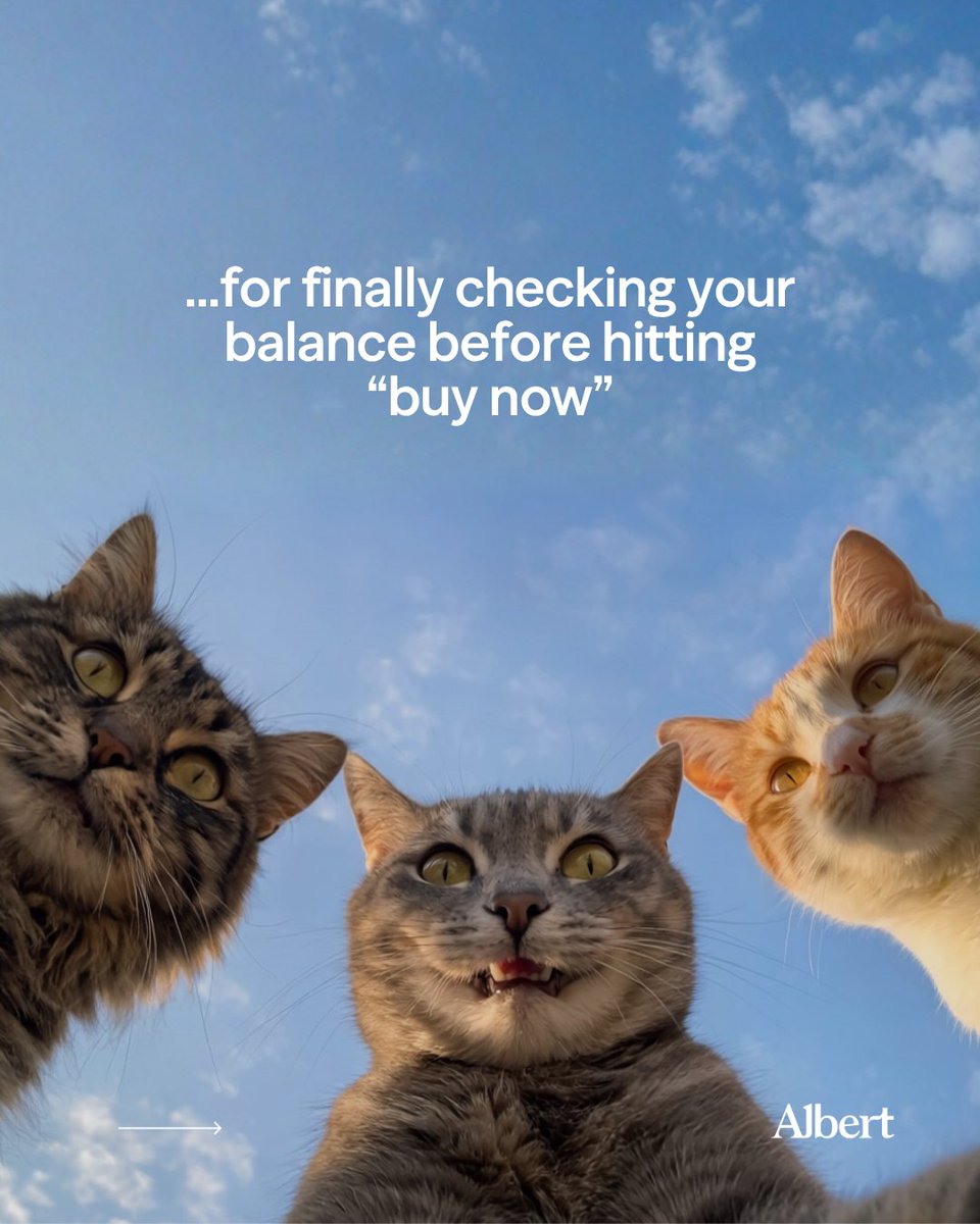 albertapp's tweet photo. Small wins, big energy. Progress > purrfection. 💙#MondayMotivation

Link in bio to learn more. https://t.co/t1vzGCpNlk