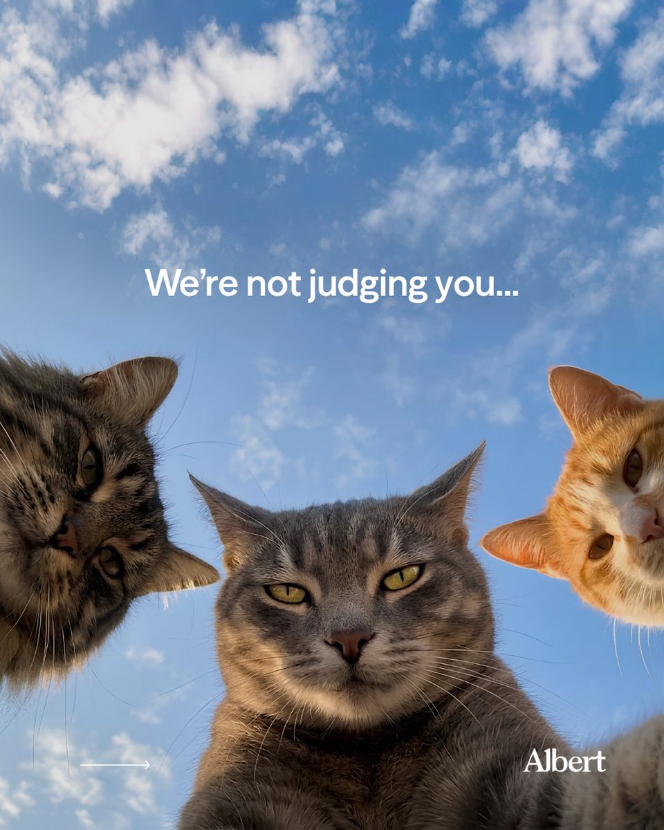 albertapp's tweet photo. Small wins, big energy. Progress > purrfection. 💙#MondayMotivation

Link in bio to learn more. https://t.co/t1vzGCpNlk