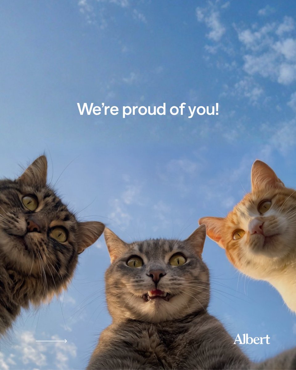 albertapp's tweet photo. Small wins, big energy. Progress > purrfection. 💙#MondayMotivation

Link in bio to learn more. https://t.co/t1vzGCpNlk