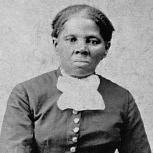 MikeLitka's tweet photo. @odinski78 @islamiyaaaah @chasity_alice2 Female ngggrs without white lady hair LOL https://t.co/qqfOW5IQTf