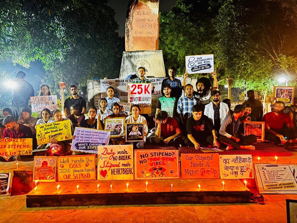 kherwa_manish's tweet photo. After NEET &amp; 5.5 years of study, we get just ₹1,500/month. We work in risky conditions. Demand: ₹25,000/month. Our work deserves dignity, and our stipend should reflect it. @icarindia @ivri_1889 @ChouhanShivraj @dare_goi @CimmytMl #IVRIINTERNSTIPEND https://t.co/cMIvp0QTPk