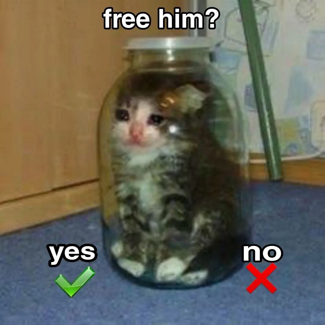 PunchingCat's tweet photo. https://t.co/m1M9Q6cTaV