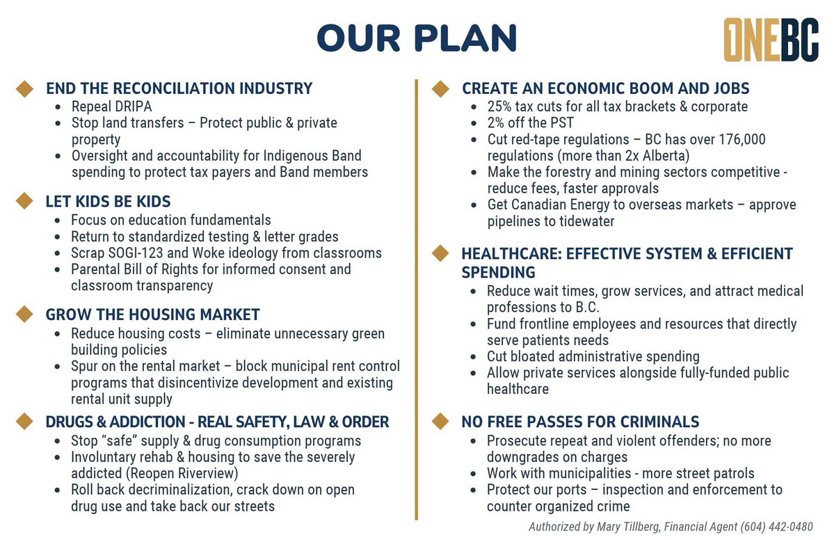 One_BCHQ's tweet photo. Here is the nutshell version of the OneBC platform!

A simple common sense plan that would get British Columbia back on track. https://t.co/8vgU1sSxVy
