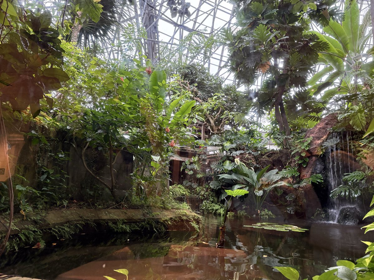 TentenStyle's tweet photo. 【🍍9/26 夢の島熱帯植物館🌴】
昨年末のEden感謝祭
『ThanX from 🍎 Eden』行けなくて泣いた
ディズニーに合わせて念願の訪問✨ https://t.co/D7AYvaMmMU