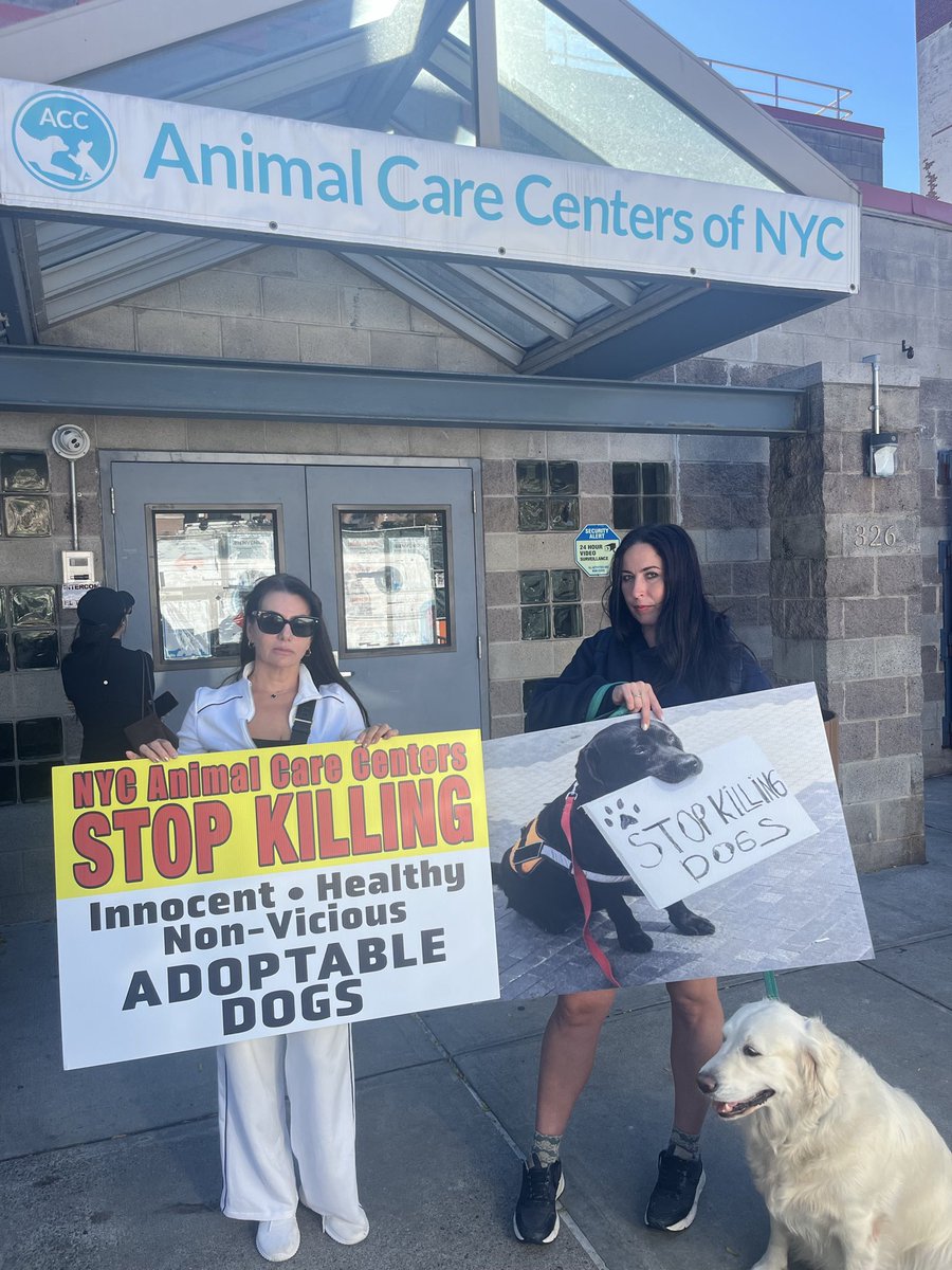 MoishesMom's tweet photo. The Manhattan location of the NYCACC was visited by several No Kill Advocates this past Saturday October 3️⃣rd…. 

Yes….NYCACC does in fact kill “good, healthy dogs and cats.” https://t.co/T0TOXUhkHc