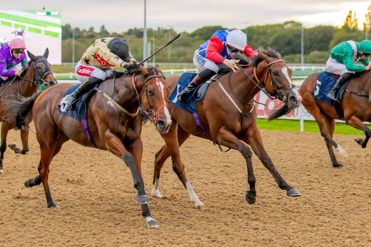 Archie_Watson's tweet photo. ⭐️ FILLE ETOILE ⭐️

A perfect start for Fille Etoile, as the two-year-old filly opens her account at the first attempt at Wolverhampton with Billy Loughnane in the saddle. Many congratulations to her owner Francesca Poste.

#ArchieWatsonRacing https://t.co/eie2NDwLVm