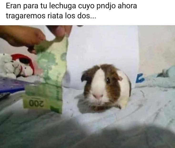 Clasilly's tweet photo. Pon algo aleatorio o tendrás un horrible octubre https://t.co/Evuc67t8dx