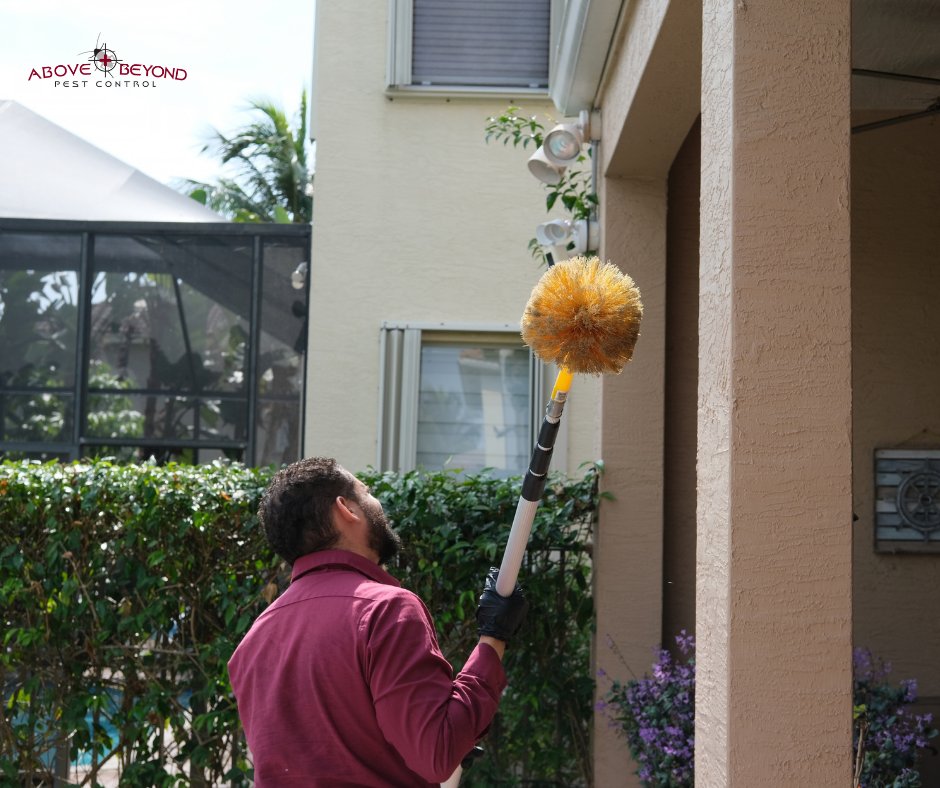 abpestcontrol's tweet photo. To avoid spiders and other insects entering your home, we always remember to knock down any webs during our visits. 🕷️
🐜Visit us at: abpestcontrol .com🐜
#spiders #floridainsects #floridabugs #floridaexterminator #insects #abpestcontrol #aboveandbeyond #pests #pestcontrol https://t.co/7fikJaVNEj
