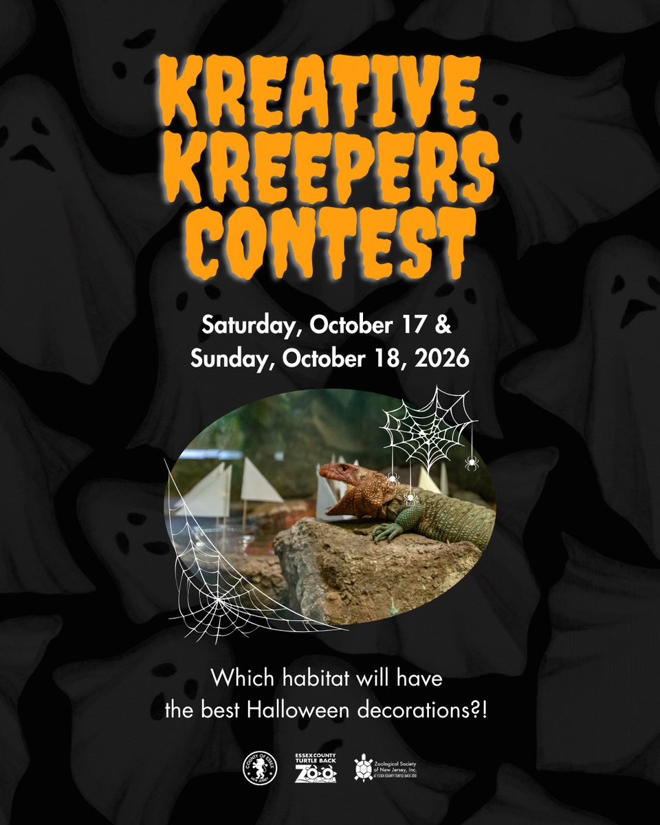 TurtleBackZoo's tweet photo. 🎃👻 LAST CHANCE

For the past six years, our keepers have transformed animal habitats into incredible Halloween displays using items from our Wish List — and now we’re getting ready for the 7th Annual Kreative Kreepers Contest!

🛒 Shop the Wish List: https://t.co/DMIOXUfLYv https://t.co/2c6sZobRrT