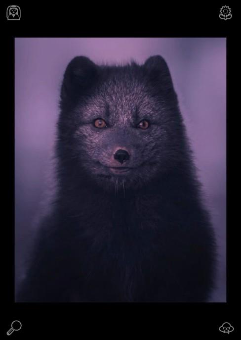 jonsemit8qqh's tweet photo. Schedule short quiet rest breaks midday, recharge your worn spirit and mind intentionally, never fully abandon your heartfelt core dreams, and your soul’s deepest wishes remain worth steady long-term pursuit always.🗾Help someone in need each single day. https://t.co/X7fwo8NRmU