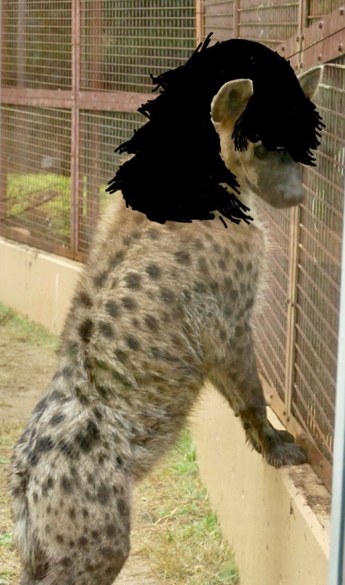marcoyeen's tweet photo. Emo or Goth yeen https://t.co/FVtQvITGDB