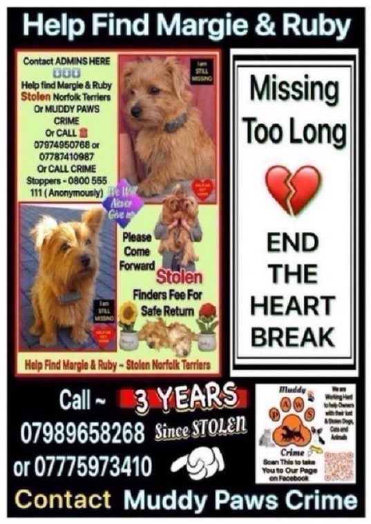 LisaClareRead2's tweet photo. Please RT π
Margie & Ruby were stolen over 5 years ago from their farm between Landrake & Pillaton in SE #Cornwall #PL12 on 24th June 2021.
Someone knows where they are.
Please let these girls go homeπ’ #NorfolkTerriers
@FindMargieruby #dogs #k9hour
#MargieandRubyMonday
β¬οΈ https://t.co/gck1ZIYaDk