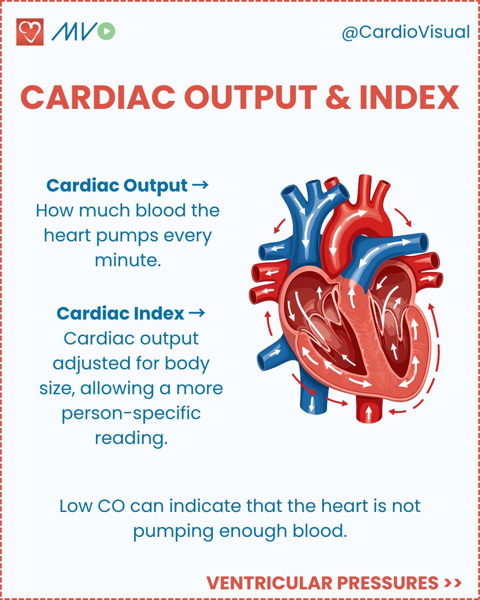CardioVisualApp's tweet photo. What do the Cath Lab numbers actually mean? Swipe to find out!

A beginner's guide to the 5 core hemodynamic measurements: arterial pressure, PCWP, cardiac output, ventricular pressures &amp; oxygen saturation.

#Cardiology #CathLab #Hemodynamics #MedEd #MedStudent https://t.co/alIAwrbajU