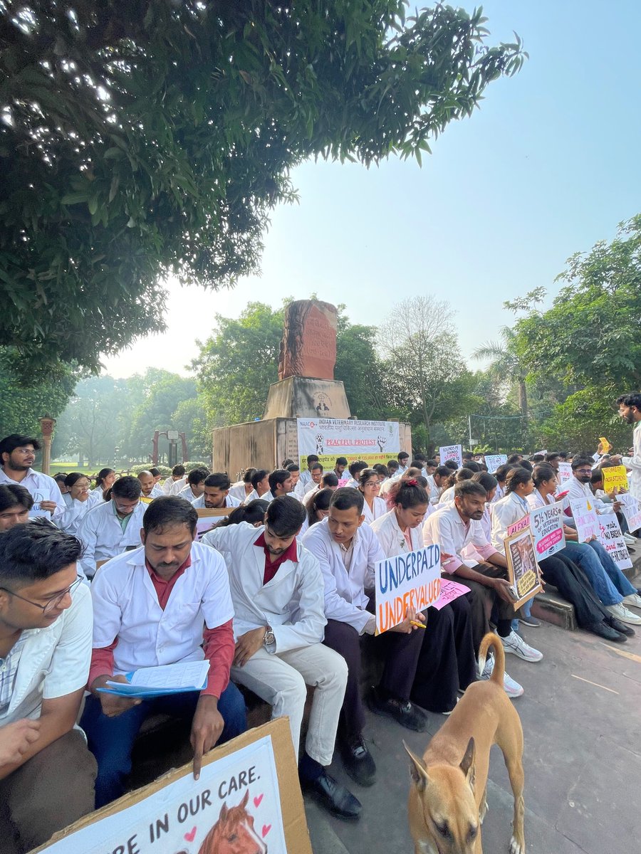 deeps7661's tweet photo. After NEET &amp; 5.5 years of study, we get just ₹1,500/month. We work in risky conditions. Demand: ₹25,000/month. Our work deserves dignity, and our stipend should reflect it https://t.co/eTdqYNjVNC