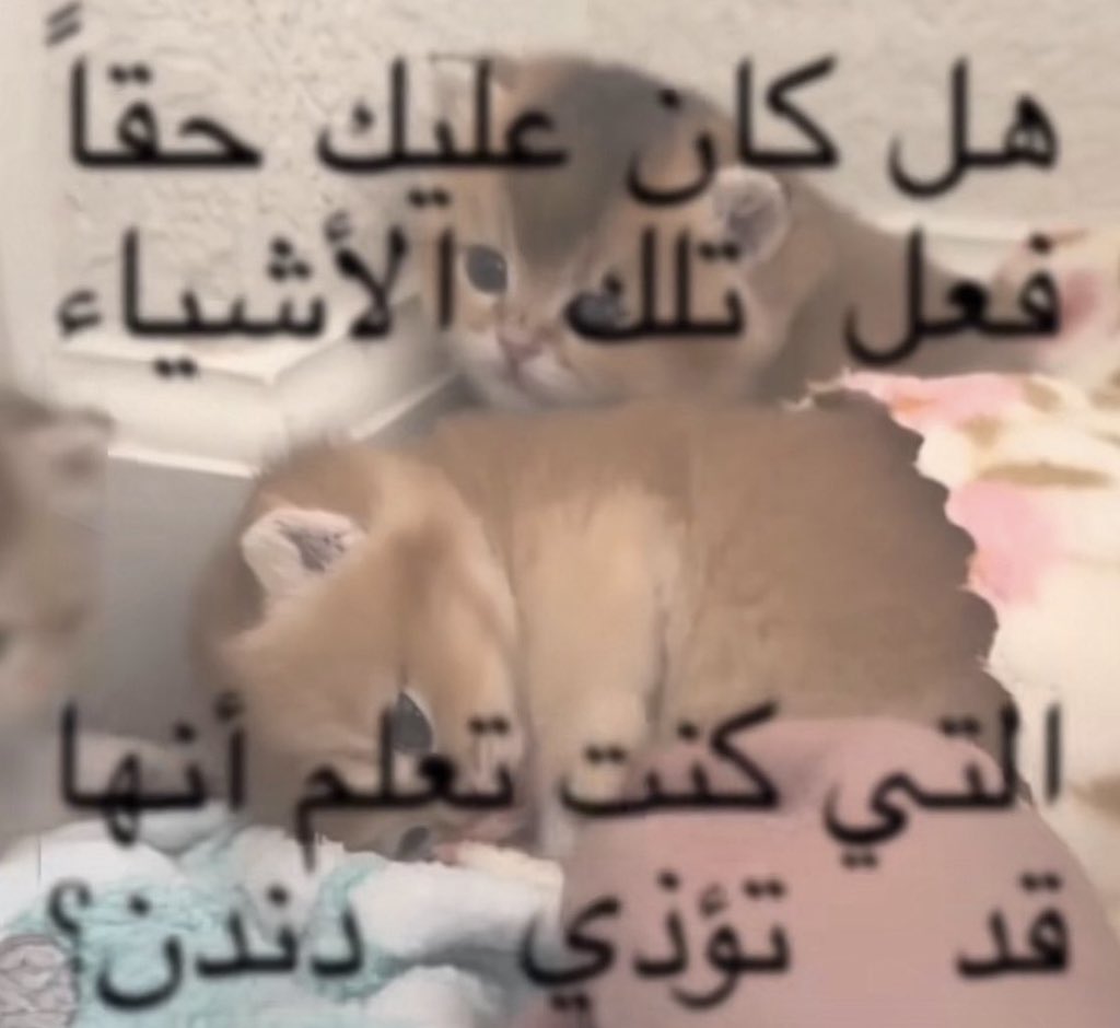 justrori2's tweet photo. https://t.co/LWGcvnfp1U