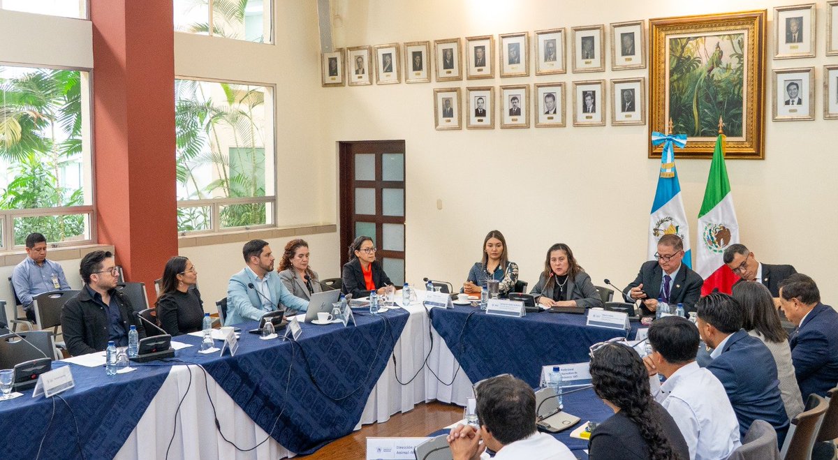 MinexGt's tweet photo. 🇬🇹🇲🇽 | La Directora General de Relaciones Internacionales Bilaterales del @MinexGt presidió, en modalidad virtual, la XXII Reunión del Grupo de Puertos y Servicios Fronterizos Guatemala-México, junto a la delegación de la @SRE_mx.  

Se abordaron temas prioritarios en materia fronteriza para:
✅ Impulsar la infraestructura y su operatividad
✅ Avanzar en la implementación del Plan Piloto del Despacho Conjunto de Carga
✅ Oportunidades de interconexión ferroviaria
✅ Asuntos ambientales
✅ Colaboración en proyectos conjuntos en los cruces fronterizos

La reactivación de este mecanismo reafirma el compromiso de ambos países con una cooperación cada vez más estrecha, para construir una frontera más segura, eficiente y próspera en beneficio de las dos naciones. 🤝