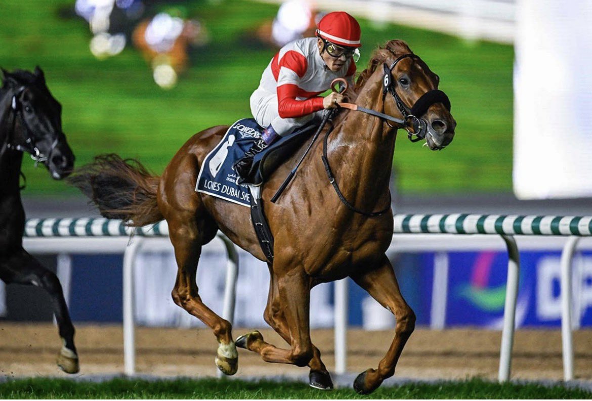 q63509's tweet photo. 🐎【次走情報｜ダノンデサイル】

天皇賞・秋（10/26・東京芝2000m）へ参戦予定📝

左回りの東京替わりは好条件🔄
本線はジャパンカップだが
宝塚記念で見せたあの鋭い末脚が爆発すれば、ここでも上位争い十分です🔥

ダービー馬の秋初戦、要注目です👀

#天皇賞秋 #ダノンデサイル #競馬好きと繋がりたい #ブルバ100