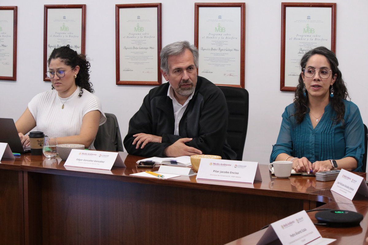 CONANP_mx's tweet photo. Unidos con estados, municipios y comunidades, seguimos consolidando un sistema integral de conservación para el bienestar de nuestro país. 🌳🇲🇽

#SomosNaturaleza #ÁreasNaturalesProtegidas #ConservaciónHumanista #GuardianesDeLaNaturaleza 🌊🌿 https://t.co/lgm7tyHKYj