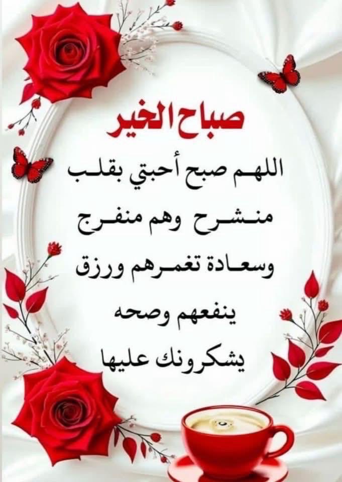 Mahmoud_Advisor's tweet photo. @MonaZahid7 https://t.co/99Tad7onbX